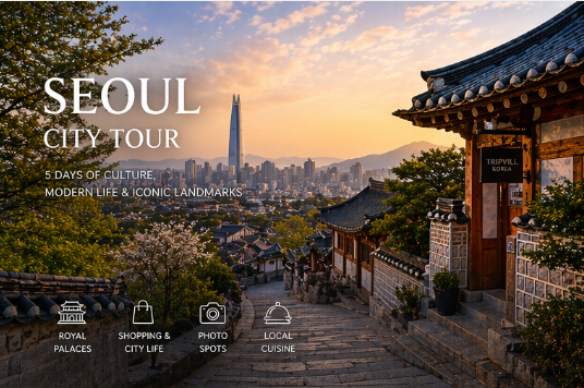 Seoul City Discovery 5 Days