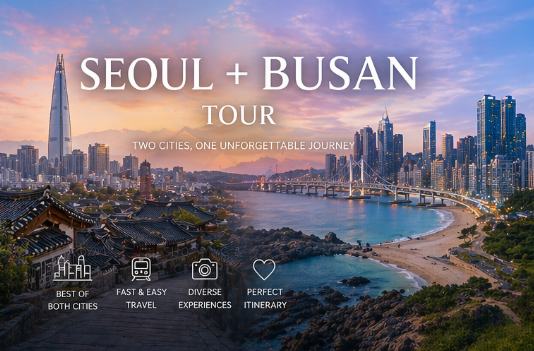 Seoul Busan 8 Days